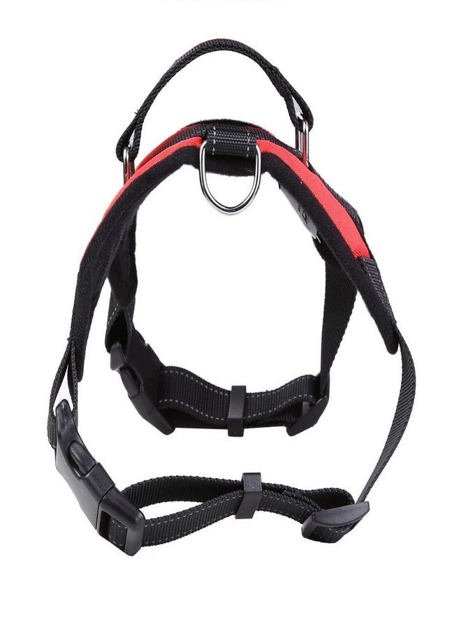 KittuPet حزام صدر للكلاب من KittuPet، حزام قابل للتعديل للكلاب الكبيرة والصغيرة والمتوسطة الحجم والقطط والأرانب وجميع سلالات الحيوانات (كبير جدًا، أحمر) - Image 5